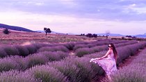 Lavander Fields and Salda Lake from Antalya