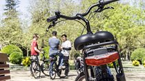 Private e-Bike Tour in Porto – Explore Riverside, Beaches & Parks
