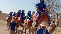 Marrakech camel ride in Palm grove