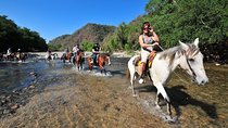 Jungle HorseBack Adventure to Las Palmas Waterfall All Included 