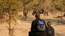 Rhino Walking Safari in the Musi Otunya National Park