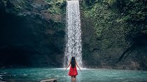 Bali: Tibumana Waterfall, Rice Terrace, Temple and Jungle Swing