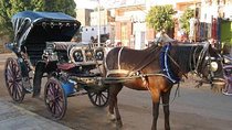 Luxor: Horse-Drawn Carriage