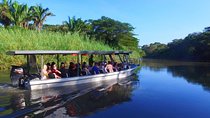 Costa Rican Wildlife: Palo Verde National Park Private Tour