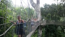 Visit Slave Dungeons (Elmina & Cape Coast) & Canopy Walk + Lunch