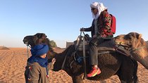 3 Days From Marrakech To Fez Via Sahara Desert Merzouga