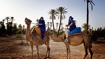 1 Hour Camel Ride in Palm Grove of Marrakech