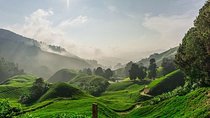 Private Tour : Cameron Highland Day Trip from Kuala Lumpur