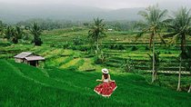 Voyage Prive à Tanah Lot, Jatiluwih, est Cascade Bali avec Un Guide Francophone