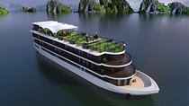 Halong Luxury Cruise 2D/1N: Kayaking, Swimming, Titop island, meals, best prices