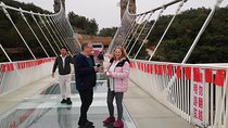 Zhangjiajie National Forest Park and Glass Bridge Adventure Trip
