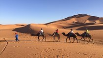 Private 3 Day Sahara Desert Adventure