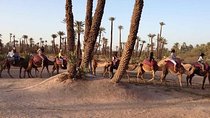  Majorel Marvels: Garden Excursion with Camel Ride in Palmeraie