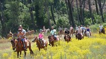 Horse Riding From Kusadasi Port / Hotels