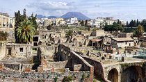 Herculaneum and Sorrento Private Day Tour from Rome