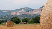 Montepulciano Wine Tasting and Assisi Private Day Tour from Rome