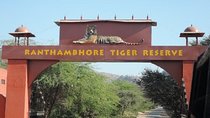 Jeep Safari Experience at Ranthambore National Park from Jaipur