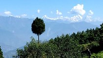 Full Day Hiking tour from Kathmandu to Kakani 