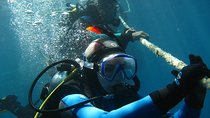 Open Water Diver course PADI including underwater video