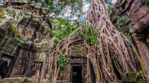 Private Angkor Temples Walking Tour from Siem Reap - Free Hotel Pick up/Drop Off
