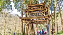 Private Chengdu Day Tour:Mt.Qingcheng with Round-Trip Cable Car and Dujiangyan