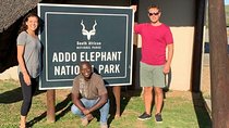 Addo Elephant National Park Day Tour from Port Elizabeth