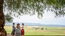 Small Group All Inclusive Barossa Valley Food and Wine Tour