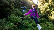 The Ultimate Canopy Zipline Experience Private Tour From Auckland