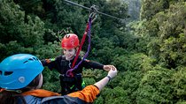 The Original Canopy Zipline Experience Private Tour From Auckland