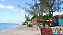 The West End Tour (Negril)