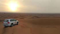 Morning Dune Bashing With Sand Boarding And Camel Ride in Red Dunes Desert 
