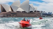 Sydney Speed Boat Adventure Harbour Tour