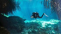 Try dive in beautiful Casa cenote for 2 people