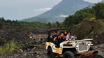 Visite d'une Journée de Merapi au Départ de Yogyakarta avec Guide Francophone