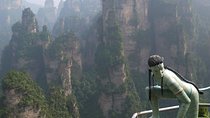 Zhangjiajie Day Tour - Yuanjiajie, Tianzishan