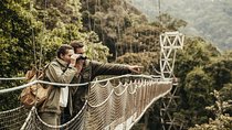 Nyungwe National Park visit