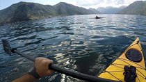 Kayak active tour