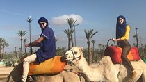 Marrakech Beautifull Sunset Camel Ride Experience