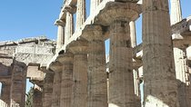 Discovering Napoli,Paestum, mozzarella&wine tasting 