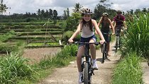 Half Day Cycling Tour ( Manual Bike )