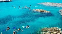 Full-Day Snorkeling Adventure In Tiran Island By Boat