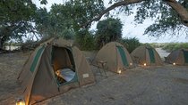 2Days 2 Nights camping safari in Chobe national park,Botswana