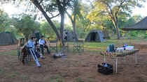 2Days 1Night Camping safari in Cohbe national park