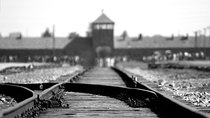 From Krakow: Private Transfer to Auschwitz-Birkenau