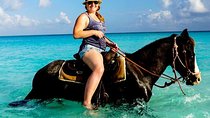 Beach Horseback Riding and Dunn’s River Falls 