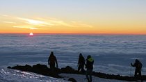 Mount Kilimanjaro 8-Days; Lemosho Route 