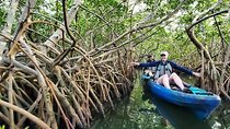 Thousand Islands Mangrove Tunnel Kayak Tour with Cocoa Kayaking!