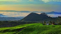 From Jakarta Airport : Mount Volcano , Hot spring , Tea Plant 