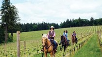 Horseback Ridings and Wine Tastings in a Winery of San Gimignano
