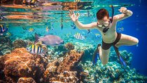 Land´s end discovery snorkeling experience